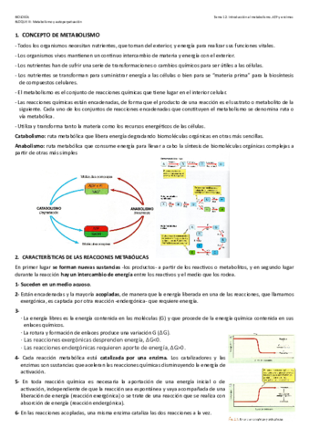 Tema-12.pdf