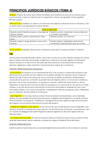 PRINCIPIOS-JURIDICOS-BASICOS-TEMA-4.pdf