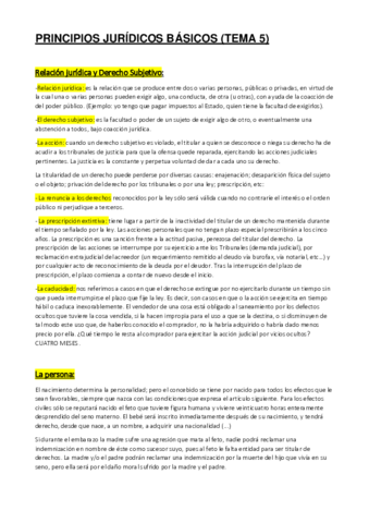 PRINCIPIOS-JURIDICOS-BASICOS-TEMA-5.pdf