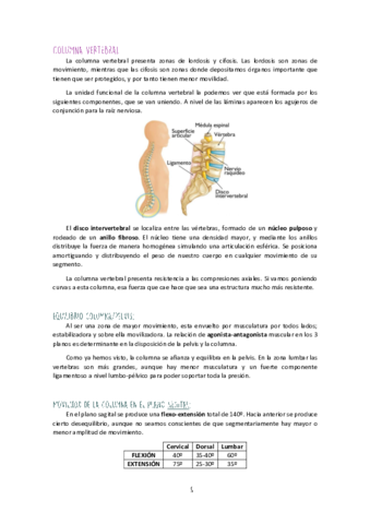 Unidad-II-Columna-Vertebral.pdf