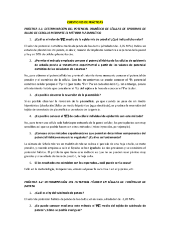 CUESTIONES-DE-PRACTICAS.pdf