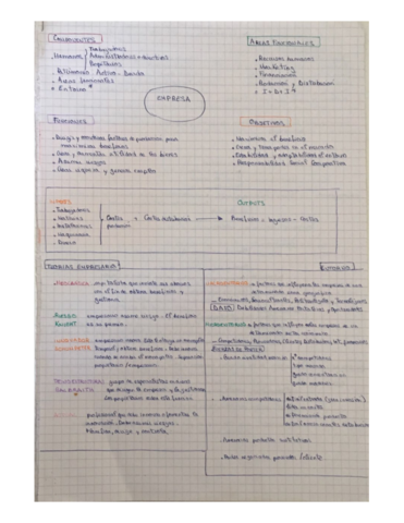 Documentos-escaneados.pdf
