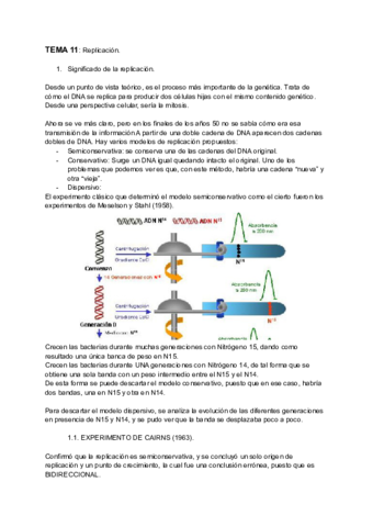 TEMA-11-Replicacion.pdf