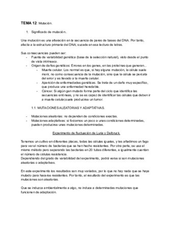 TEMA-12-Mutacion.pdf
