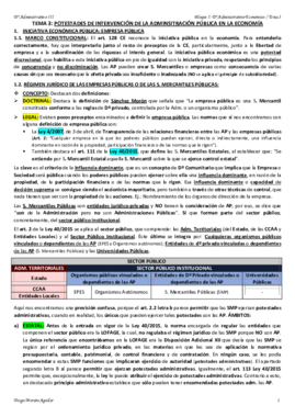 TEMA 3 ADMINISTRATIVO III.pdf