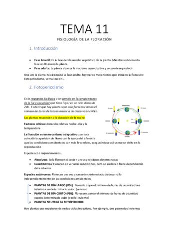 Apuntes-TEMA-11-Floracion.pdf