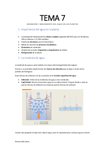 Apuntes-TEMA-7-El-agua.pdf