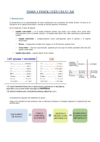 Tema-1-Fisiologia-celular-Paula.pdf
