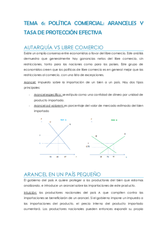 resumen-t6-arancel-a-las-importaciones-.pdf