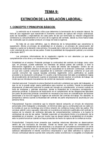 TEMA-9.pdf