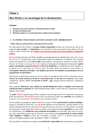 TEMA-5-resumido.pdf