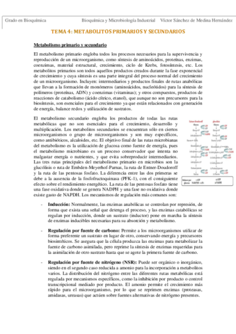 Tema 4. Metabolitos primarios y secundarios VSM.pdf