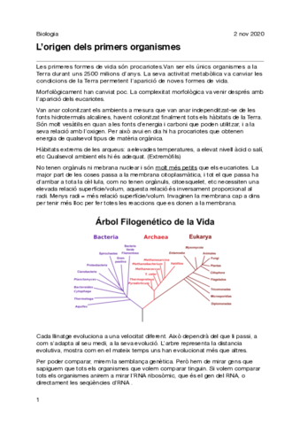 4-Lorigen-dels-primers-organismes.pdf