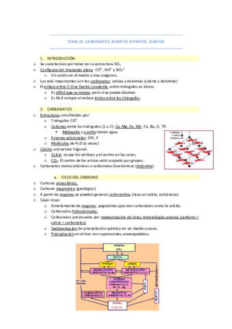 TEMA-10-Carbonatos-Boratos-Nitratos-Iodatos.pdf