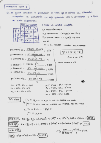 TEMA 2 (A)