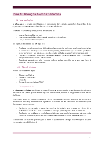 TEMA-10-GMB.pdf