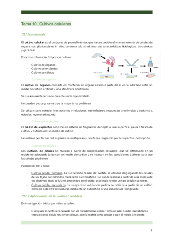 TEMA-10-BMC.pdf