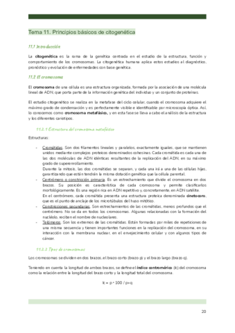 TEMA-11-BMC.pdf
