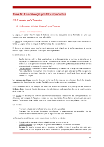 TEMA-12-FG.pdf