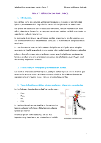 TEMA-7-SENALIZACION.pdf