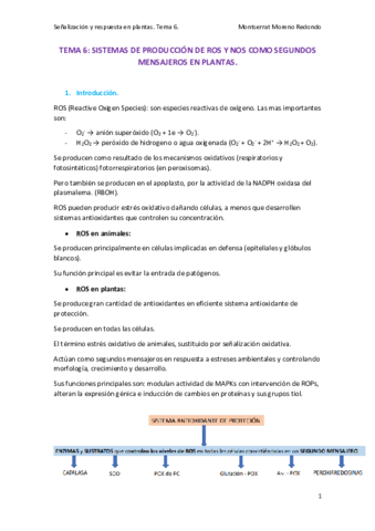 TEMA-6-SENALIZACION.pdf