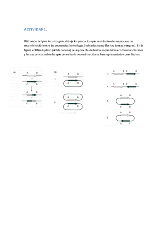 Seminario-3-Recombinacion.pdf