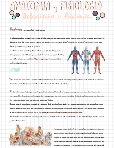 DOLORES-RODRIGUEZ-XOCHITL-YAZMIN-ANATOMIA-Y-FISIOLOGIA-.pdf