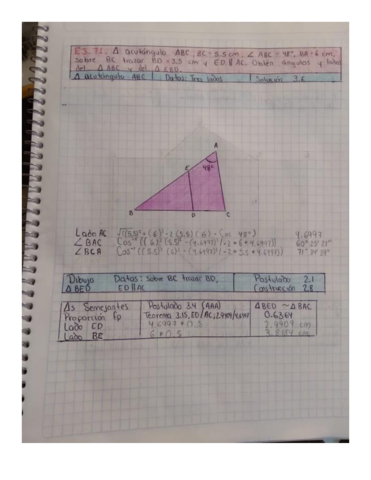 triangulo-acutangulo.pdf