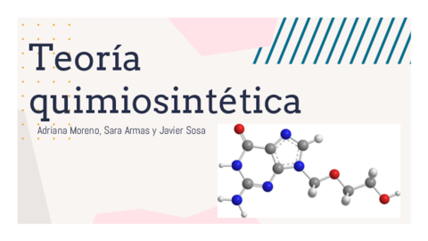 Quimiosintetica-2.pdf