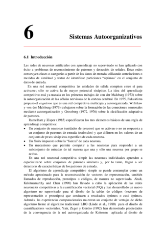 Tema 5 - Redes Autoorganizativas.pdf