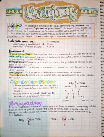 Proteinas-y-Enzimas.pdf