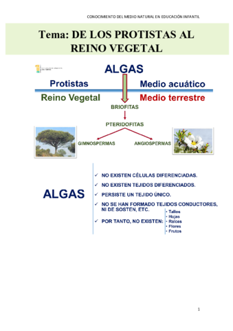 DE-LOS-PROTISTAS-AL-REINO-VEGETAL.pdf
