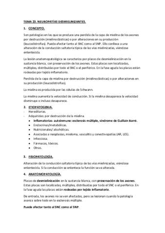 TEMA-23.pdf