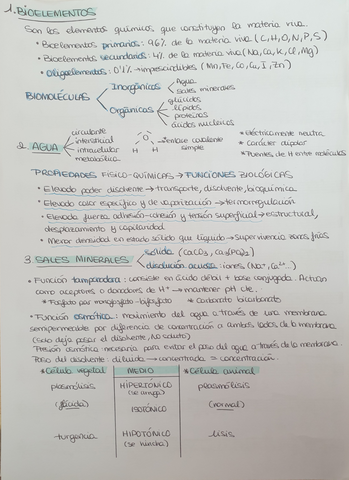 BIOELEMENTOS-Y-BIOMOLECULAS-INORGANICAS.jpg