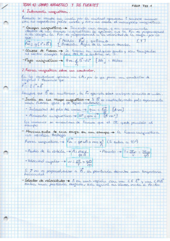 Campo-magnetico-y-sus-fuentes.pdf