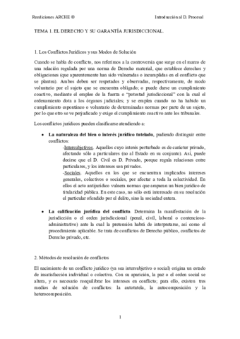 Apuntes-Derecho-Procesal-Buenos.pdf