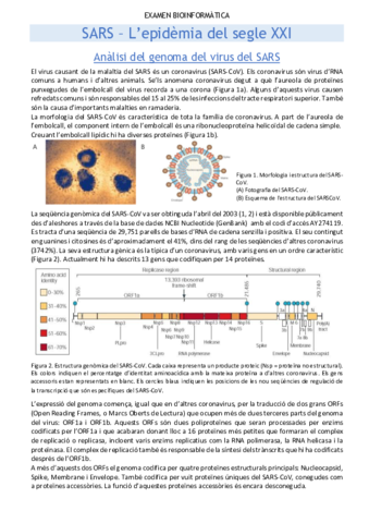 Practicas-4-5-y-6.pdf