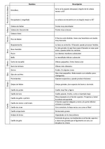 Tabla-defectos-equidos.pdf