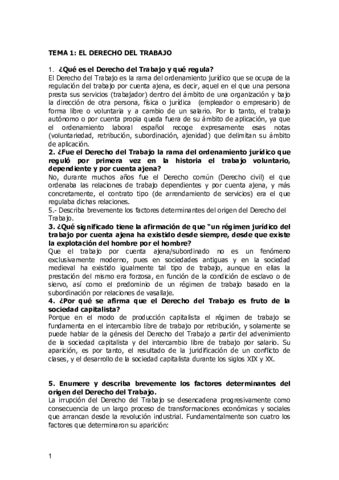 DERECHO-DEL-TRABAJO.pdf