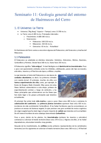 Seminario-11-Geologia--Mis-apuntes.pdf