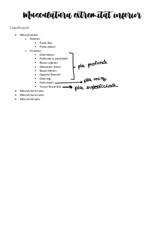 Musculatura-EI.pdf