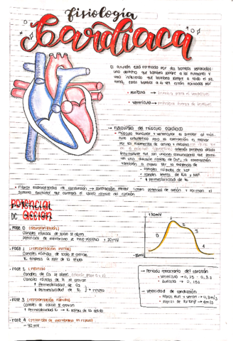 Fisiologia-Cardiaca.pdf