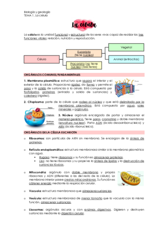 Biologia-UD-1.pdf