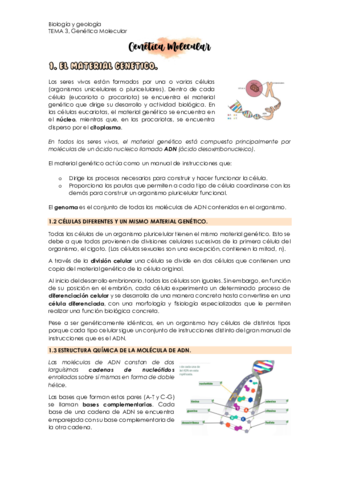 Biologia-UD-3.pdf