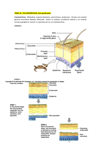 TEMA-16-20.pdf