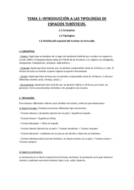 TEMA 1 - Introducción..pdf