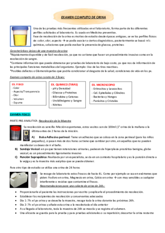examendeorinacompleto.pdf