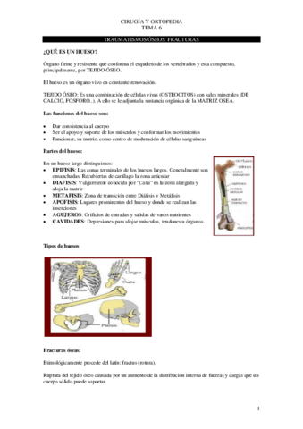 Tema-6-cirugia-.pdf