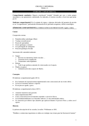 Tema-13-cirugia.pdf
