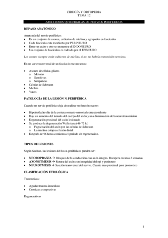 Tema-12-cirugia.pdf